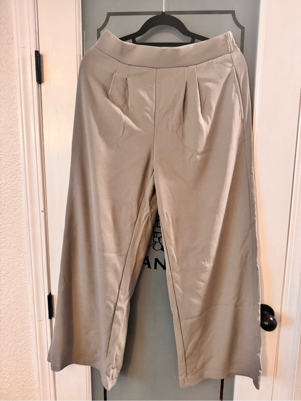 Wide Leg Pleated Trousers in Light Taupe